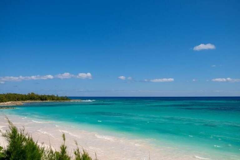 Snorkel right off the shore and discover the vibrant marine life Snorkel right off the shore and discover the vibrant marine life