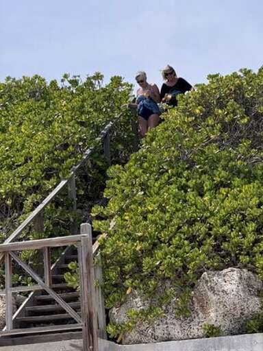 Stairs to beach