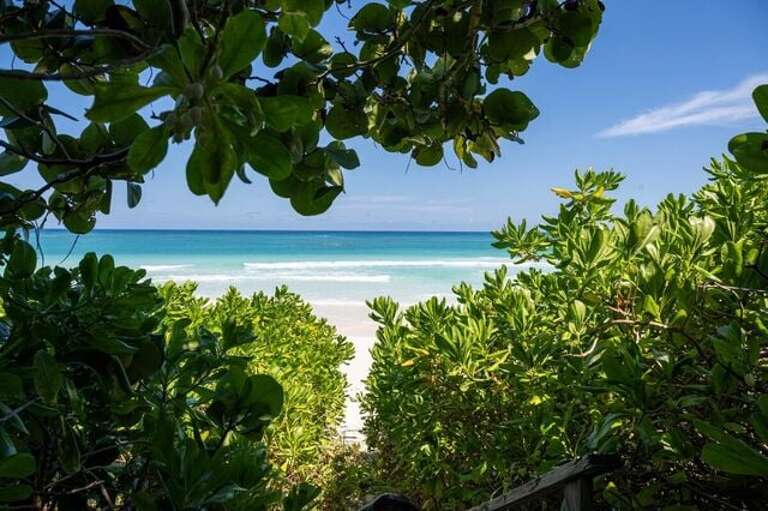 Path to pink sand beach
