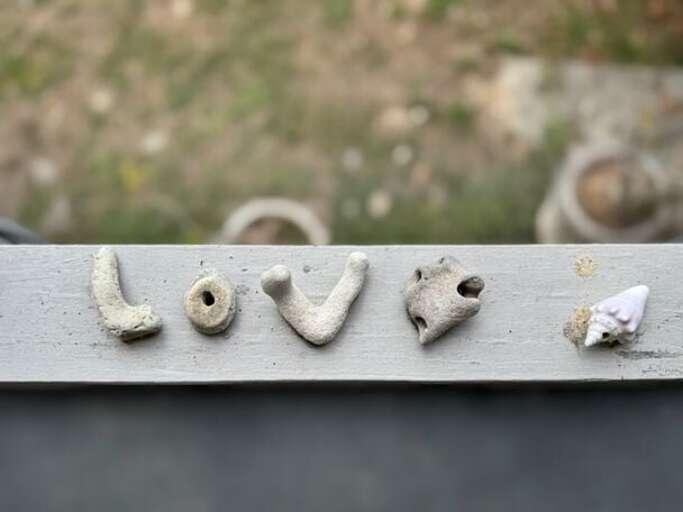 Coral & Shelling from front yard beach.