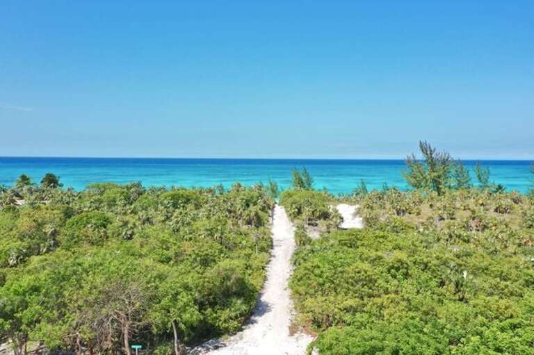 Path to beach. Path to beach.