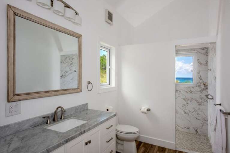 Guest cottage bath Guest cottage bath