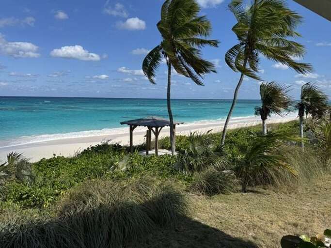 Our beach palapa and beach.