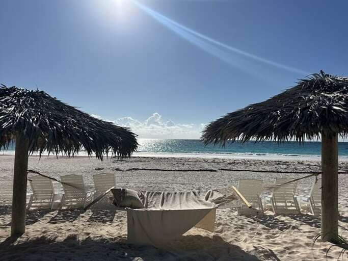 Thatched beach cabanas, sun beds, and hammock.