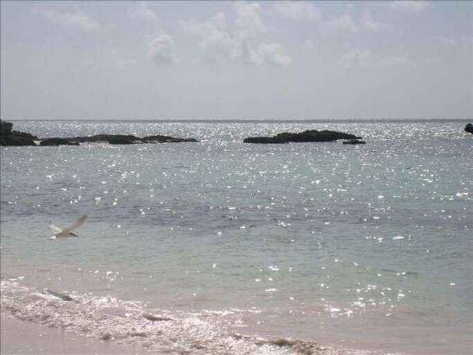 Crystal clear water looking north