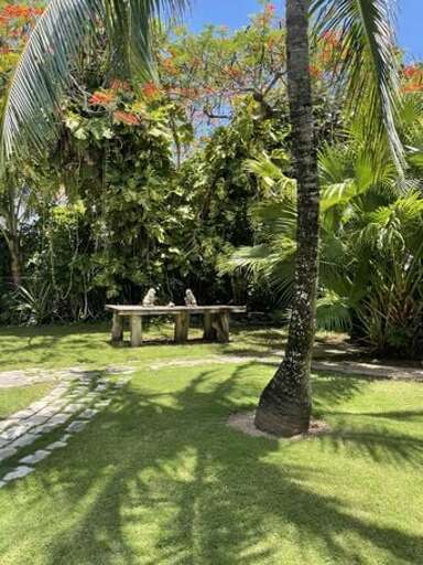 Grounds shaded by palm trees.