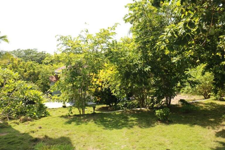 Grounds with fruit trees.