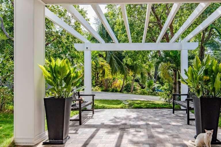 Here you are greeted by beautiful landscaping leading to a large pergola covered in native vines.