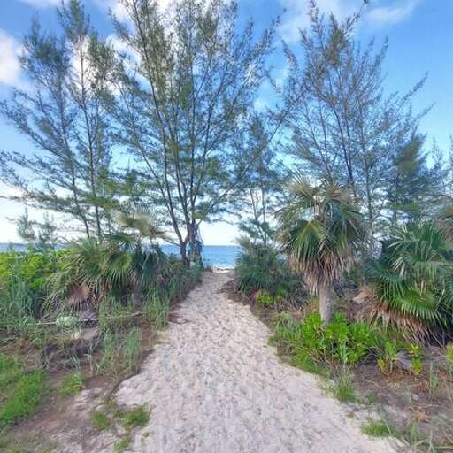 Path to the beach. Path to the beach.