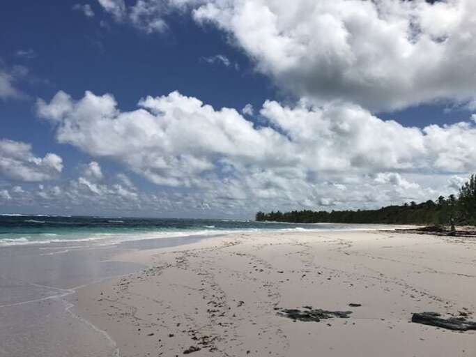 Knowles Drive Beach, a 5 minute walk from the cottage.