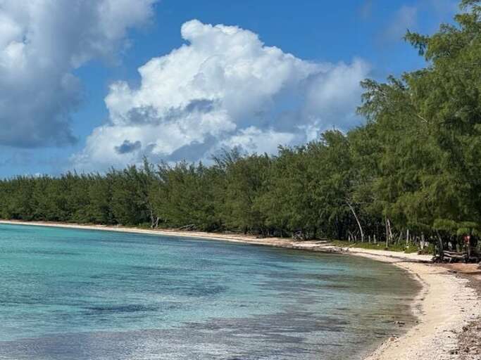 Tranquility Bay Beach on the Caribbean, a 3 minute walk from the cottage.