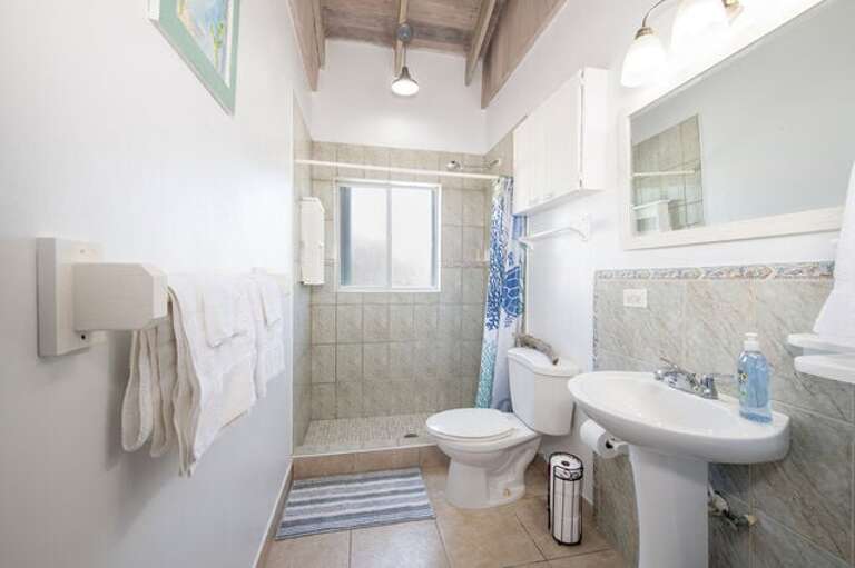 Bath with walk-in shower.