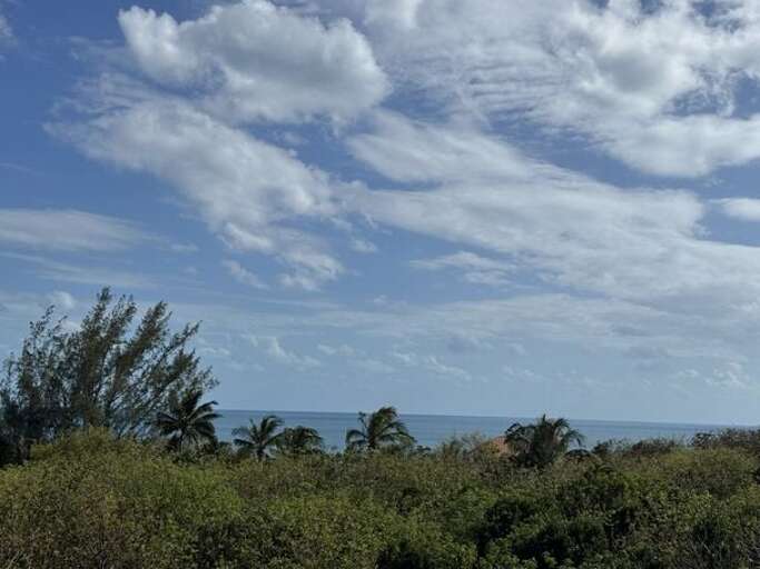 Ocean views from the look-out deck.