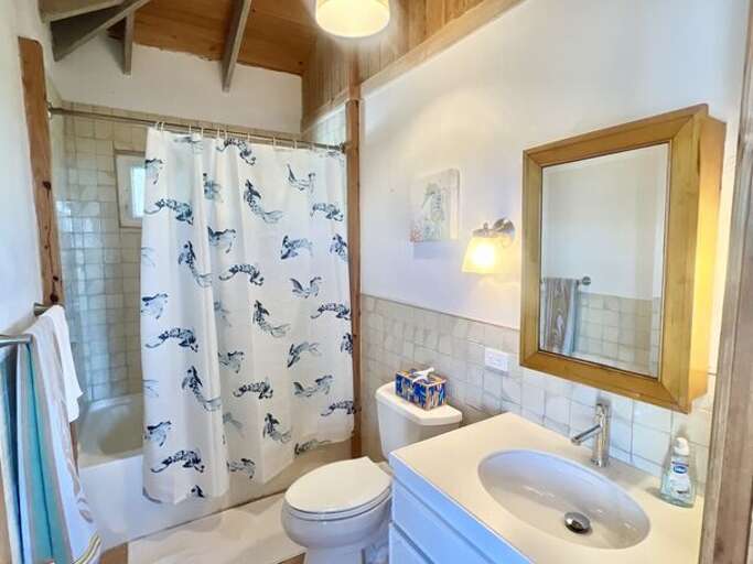 Bath with shower/tub combo.