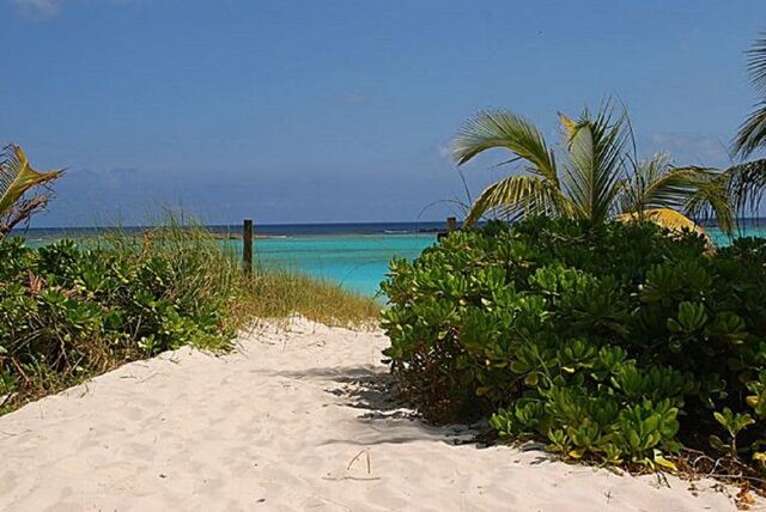 Path to Tir Na Nog's deserted pink sand beach.