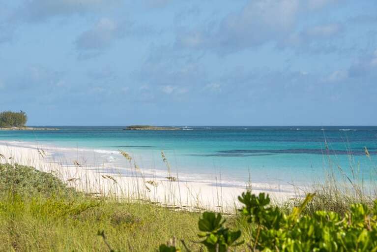 French Leave Beach.