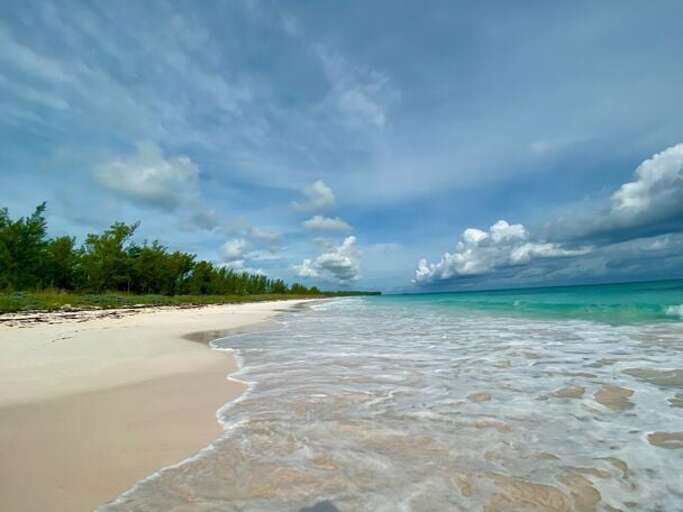 World-famous French Leave Beach, an 8-minute walk or 3-minute ride on Buena Vista's golf cart.