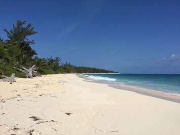 Our spectacular pink sand beach.