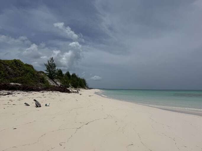Our beach facing north.