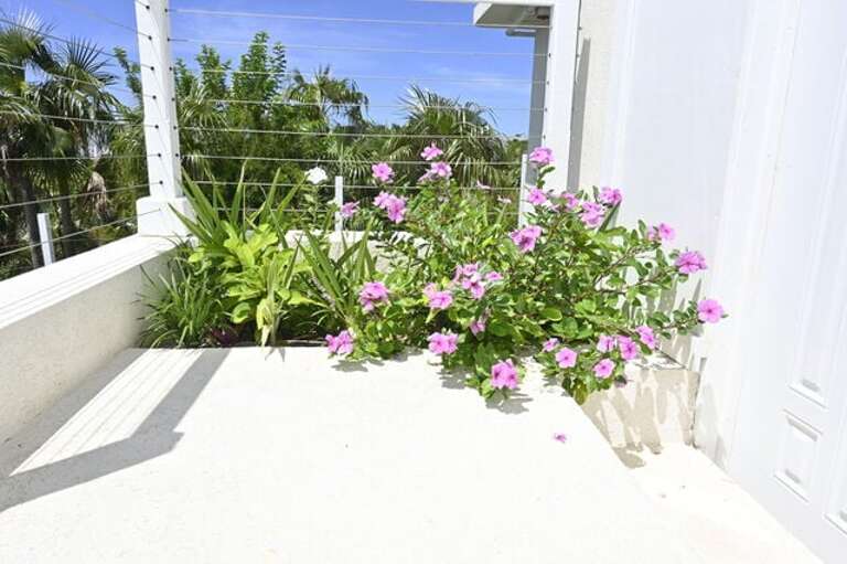 Patio.