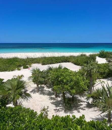 Walk for miles in either direction on our secluded beach.