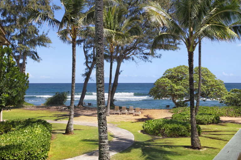 Kapaa Condo Rental Kapaa Condo Rental