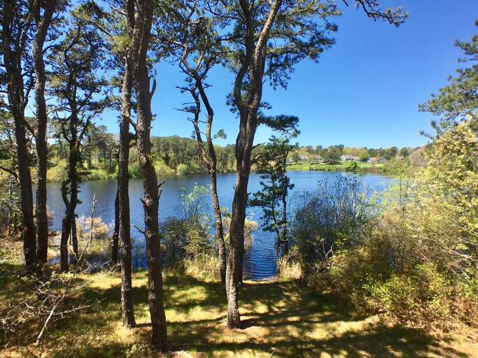 Exterior - Deck View