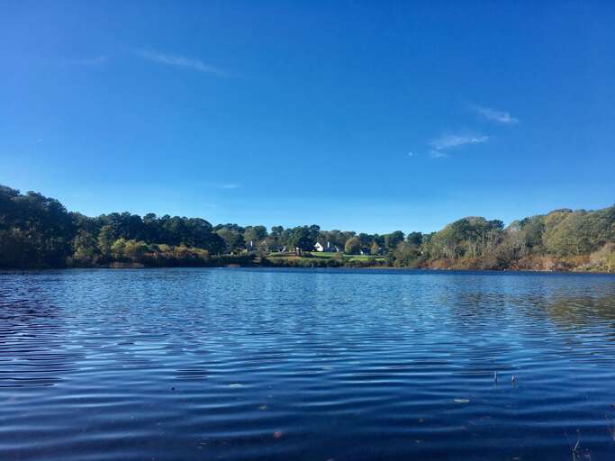 Exterior - Pond View