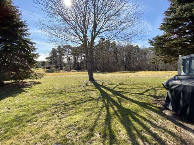 Exterior - Rear View