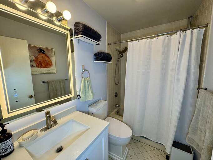 Primary Bathroom (1st Floor)