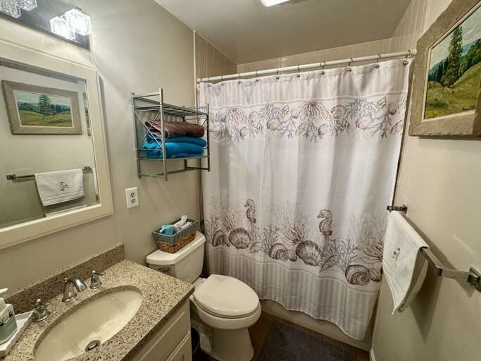 Primary Bathroom Primary Bathroom