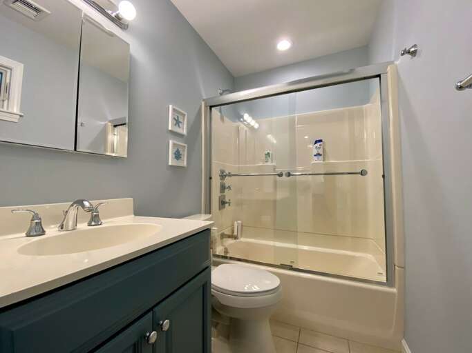 Primary Bedroom (downstairs)