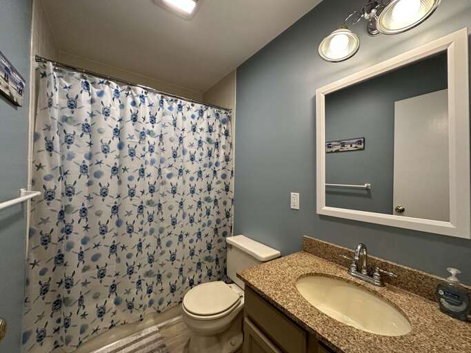 Secondary Bathroom (Downstairs)