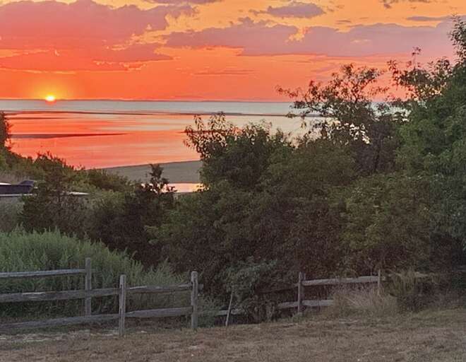 Sunset Scene Shimmering Over Serene Sea, Seen From Shrubby Shore