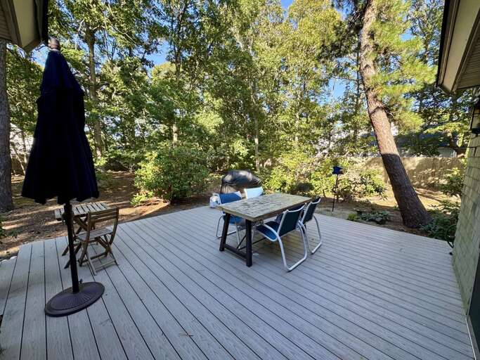 Back Patio