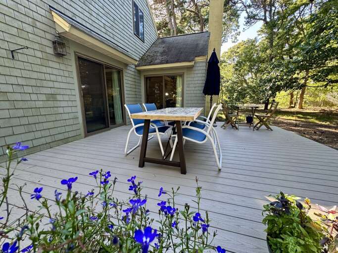 Back Patio