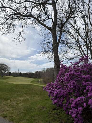 View of greens