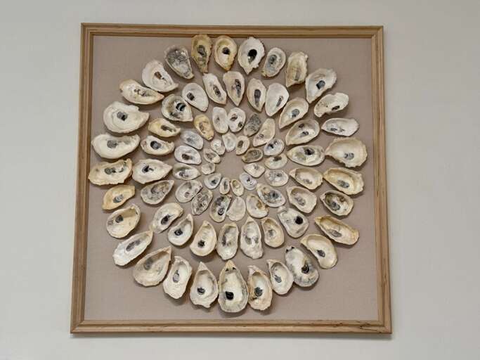 Oyster Frame