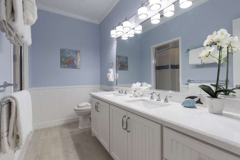 Guest bathroom