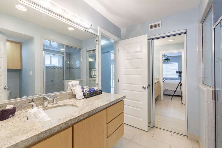 Downstairs guest bathroom with walk-in tiled shower.