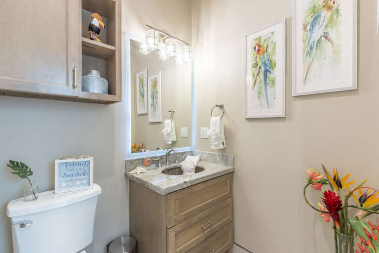 Ground floor guest bathroom