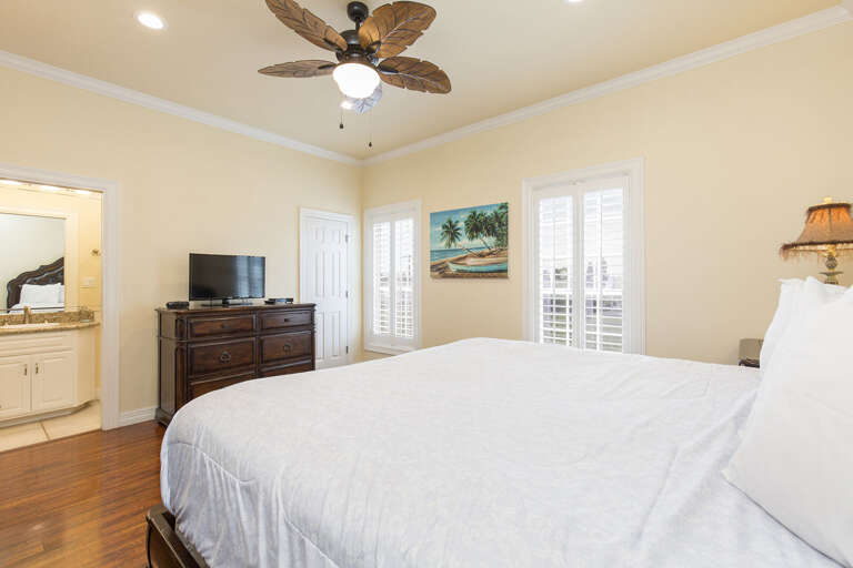 Guest Bedroom with King Bed