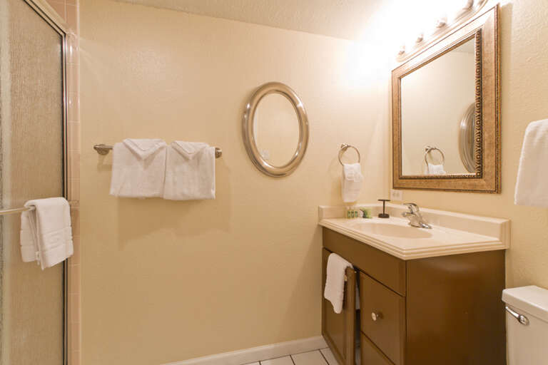 Shared bathroom with stand-in shower.
