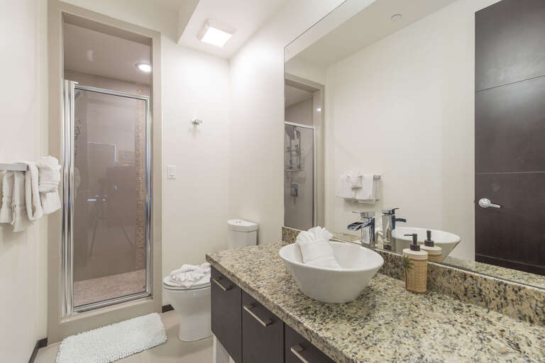 Guest bathroom