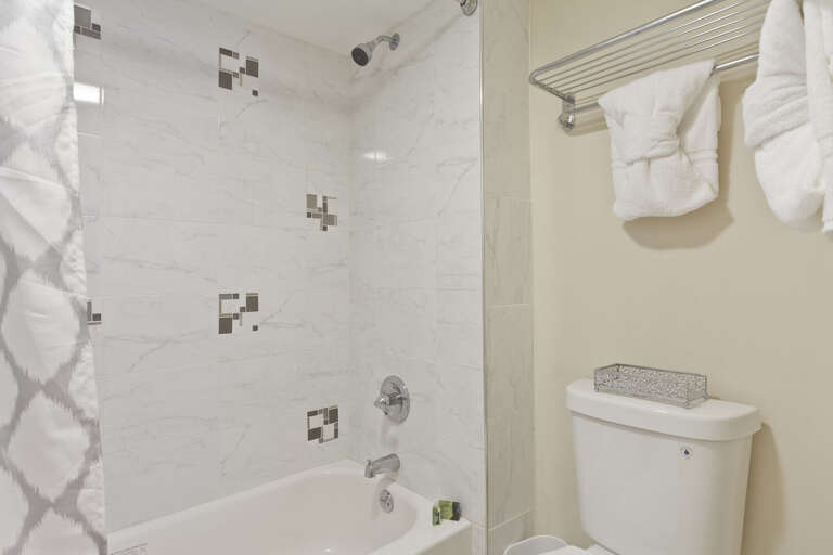 Master bathroom shower and tub combination.