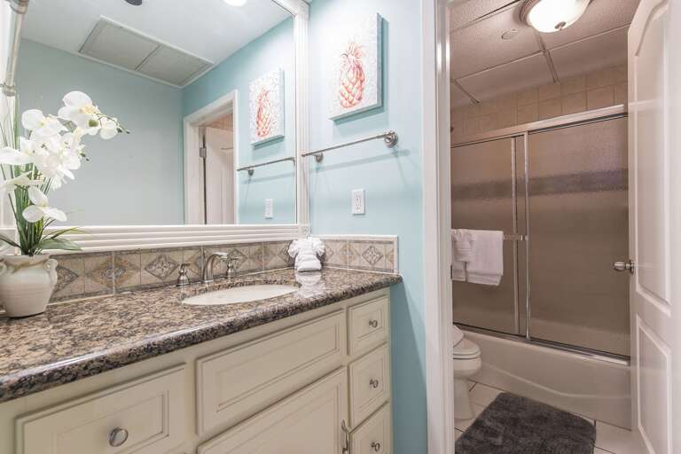 Guest bathroom