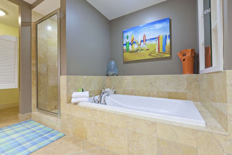 Master bathroom walk-in shower and tub! Master bathroom walk-in shower and tub!