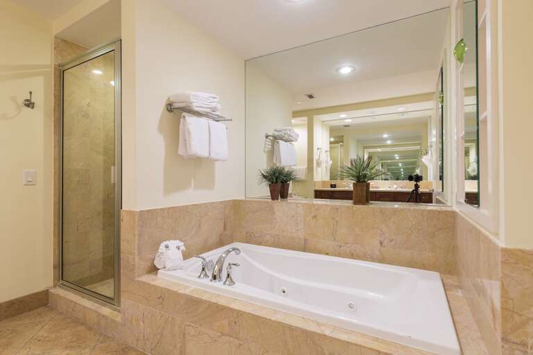 Master bathroom has oversized jetted bathtub and stand alone shower.