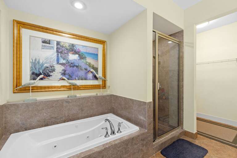 Master bathroom with a jetted tub, walk-in shower and walk-in closet!