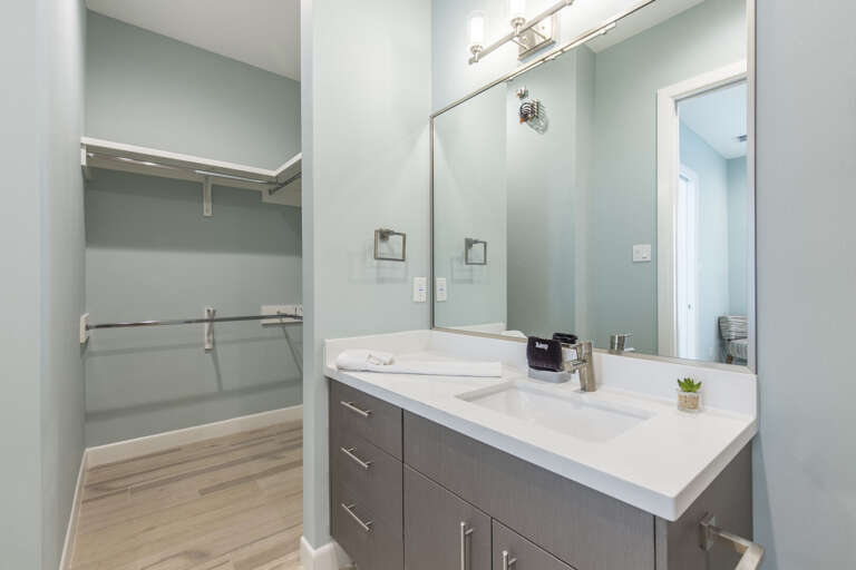 Ground floor guest bathroom closet